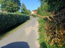 Foto: Verkehrssicherung, abgebrochener starker Ast ragt zunehmend in den Verkehrsraum 